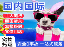 池州九华山国际宠物托运 【国